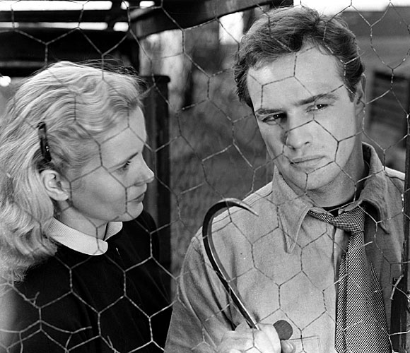 Eva Marie Saint and Marlon Brando from a scene in "On the Waterfront"