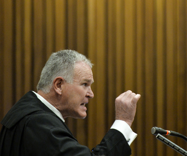 Chief defense attorney Barry Roux presents his client's case in court.